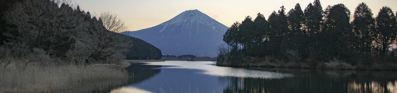 静岡支部